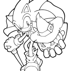 Sonic the speed runner