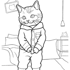 The cat is standing in clothes