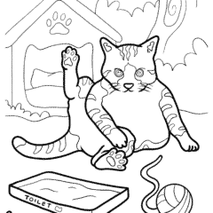 The cat is washing itself