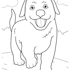 The puppy is walking