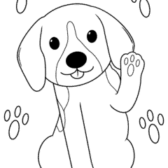The puppy raises its paw