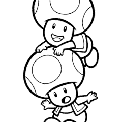Toad on Toad