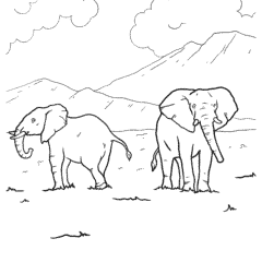 Two elephants walking in the wild