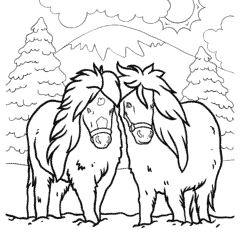 Two fluffy miniature horses