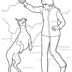Woman playing with a big dog in the park